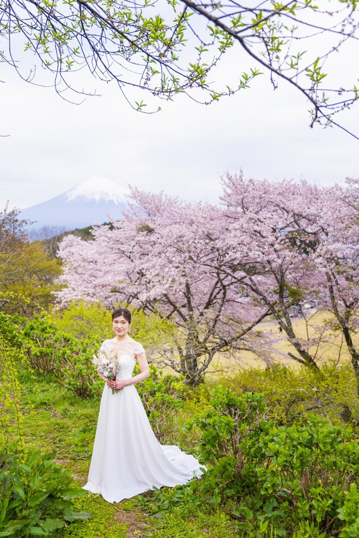 桜の季節に富士山
